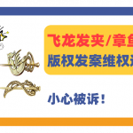 25-cv-01906，Bobroeskie飞龙发夹、章鱼耳环版权维权！赶快排查！